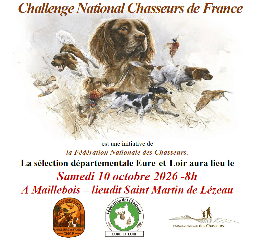 affiche site internet